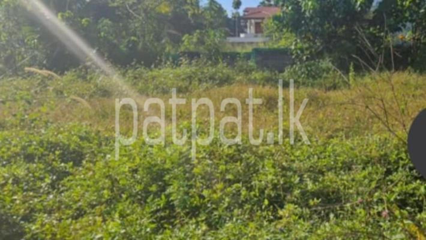 Residential Land for Sale in Homagama