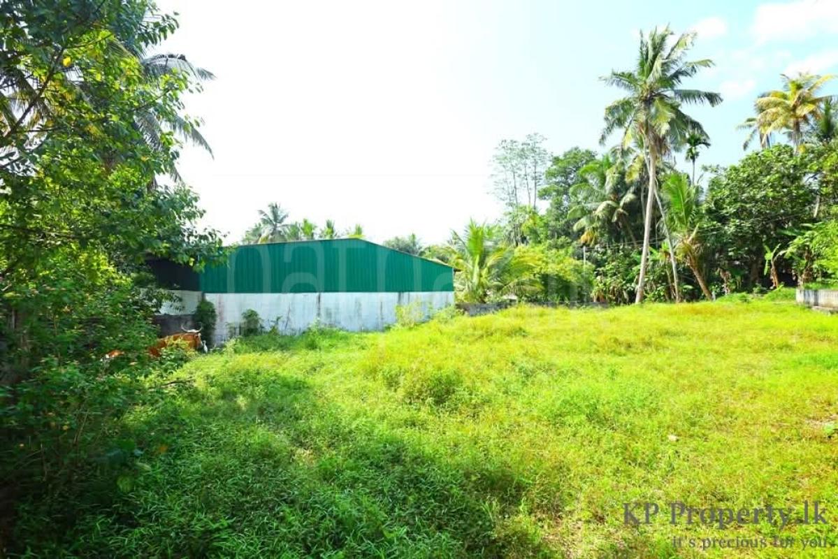 Residential Land for Sale in Homagama