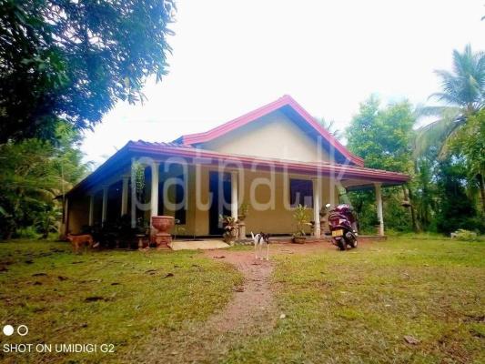 premium-listing-image