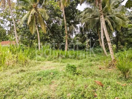 premium-listing-image