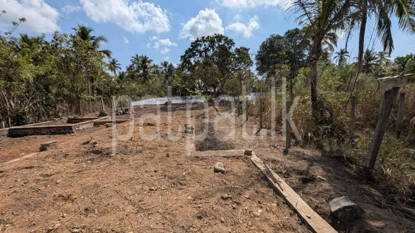 Residential Land for Sale in Giriulla