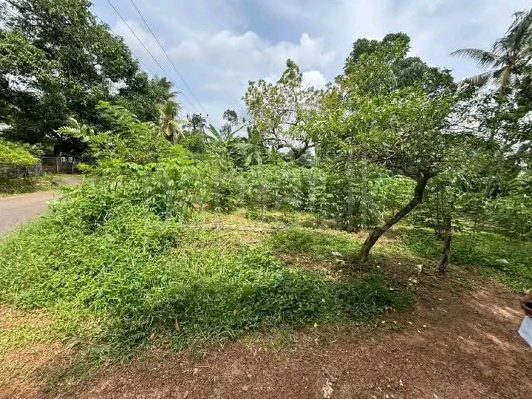 Residential Land for Sale in Horana