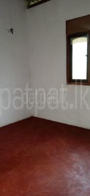 premium-listing-image