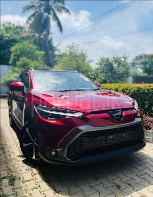 premium-listing-image