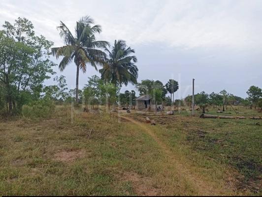 Agricultural Land for Sale in Puttalam