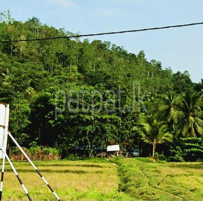 premium-listing-image