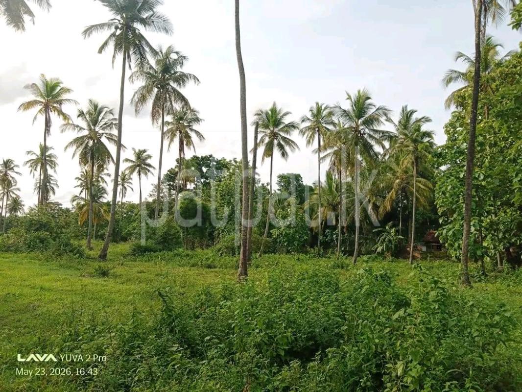 Agricultural Land for Sale in Maho
