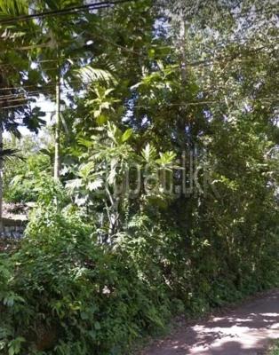 Commercial Land for Sale in Wadduwa