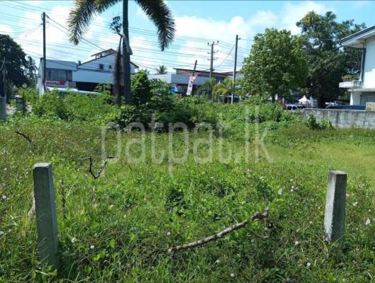 premium-listing-image