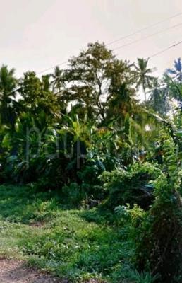 Commercial Land for Sale in Narammala