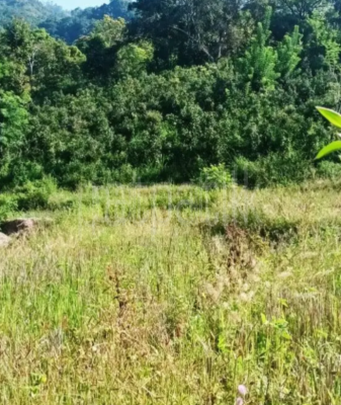 Commercial Land for Sale in Nikapotha
