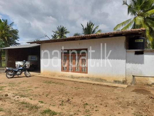 premium-listing-image