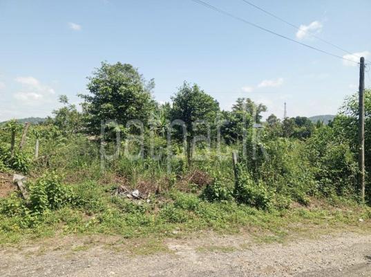 premium-listing-image