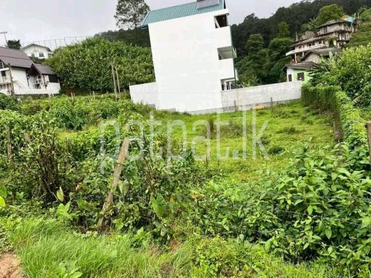 premium-listing-image