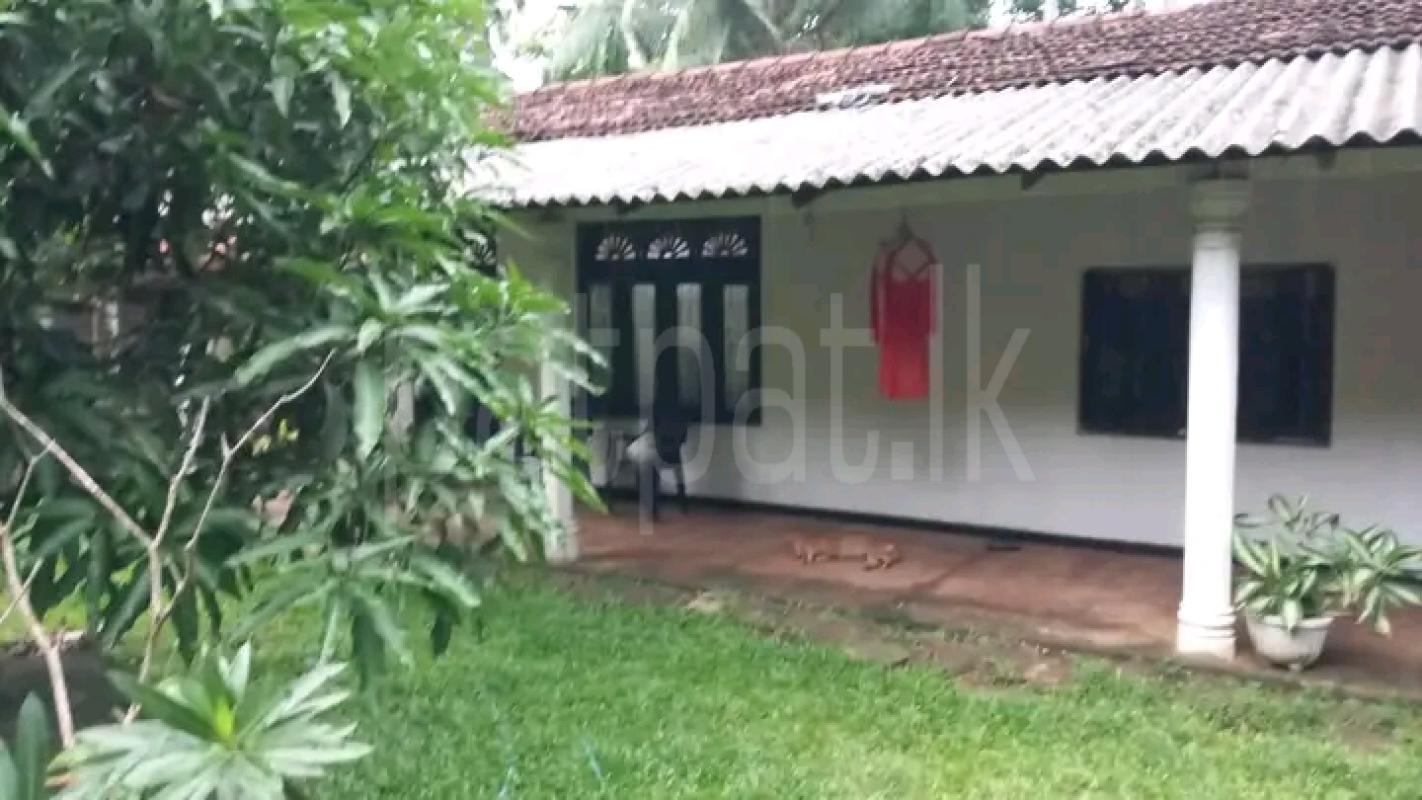 House for Sale in Giriulla
