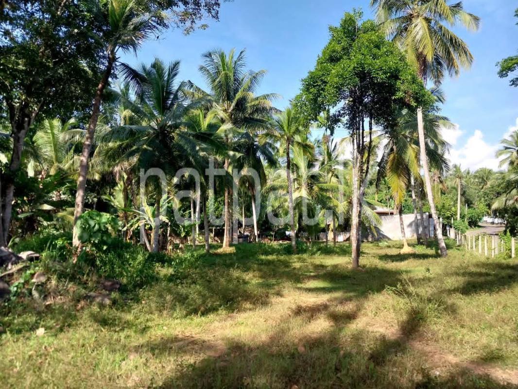 Residential Land for Sale in Veyangoda