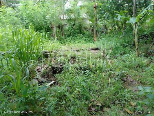 premium-listing-image