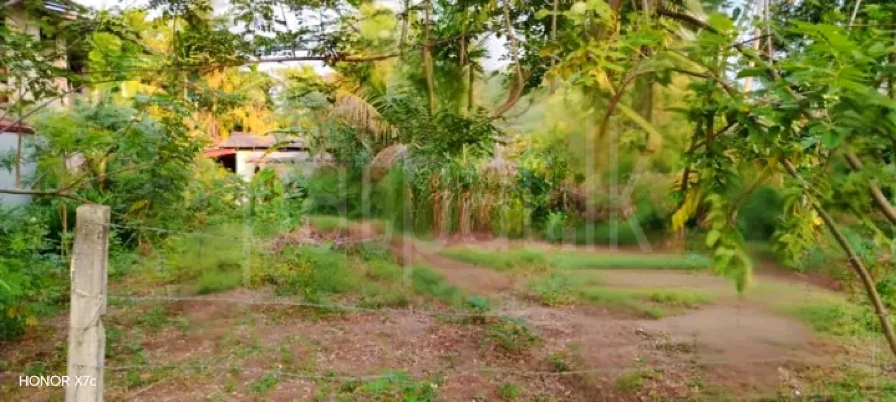 Residential Land for Sale in Bandaragama