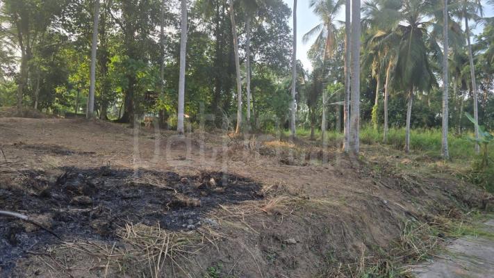 Residential Land for Sale in Yakkala
