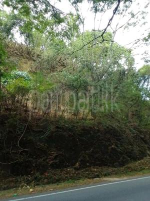 premium-listing-image