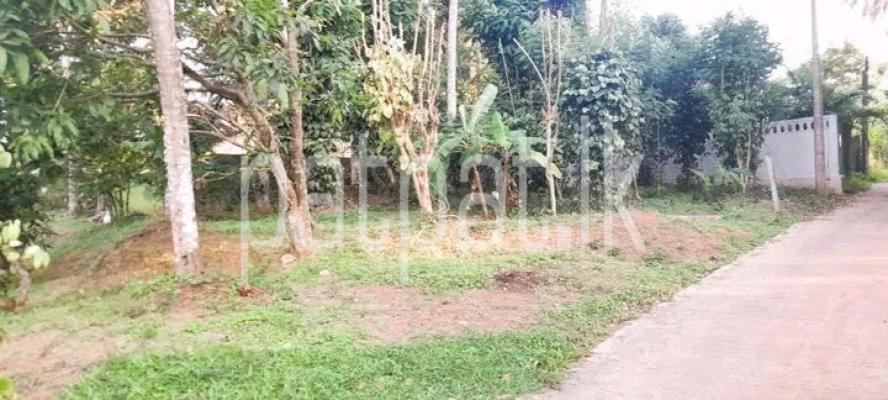 premium-listing-image