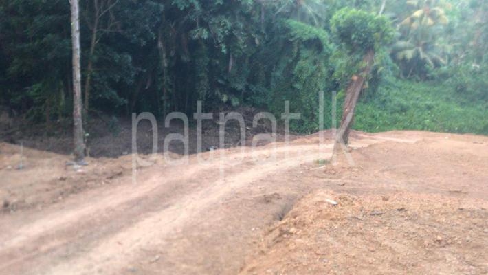 premium-listing-image