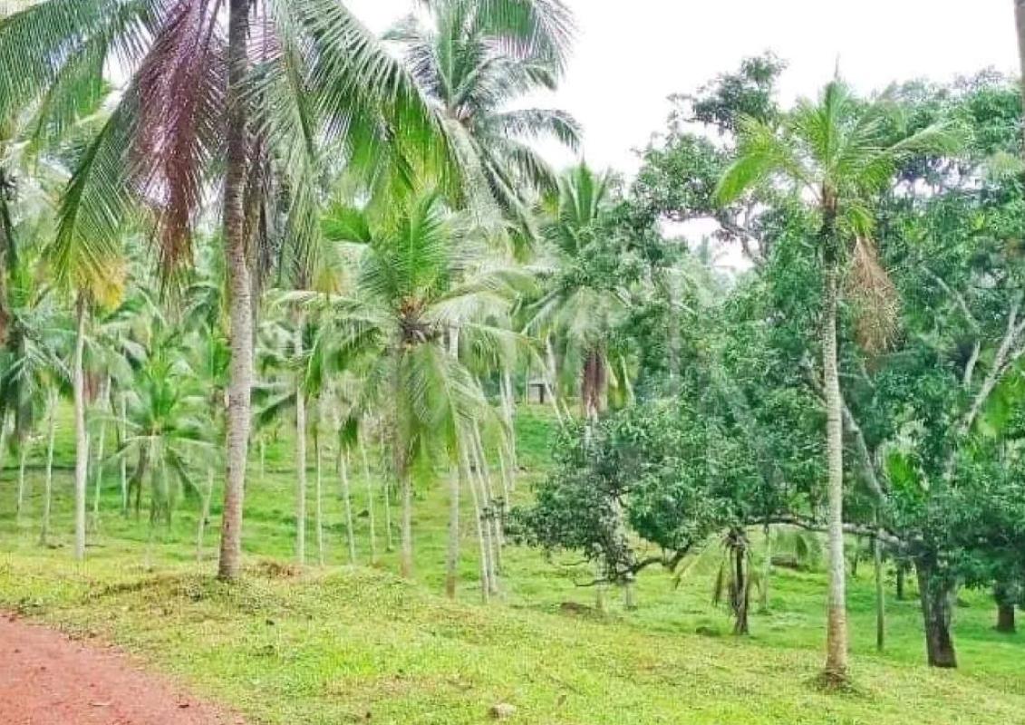 Agricultural Land for Sale in Maho