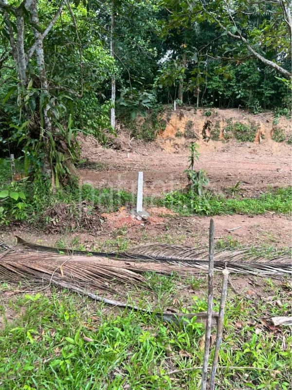 Agricultural Land for Sale in Wattala