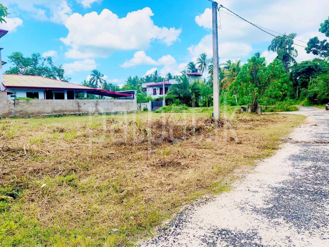 Residential Land for Sale in Yakkala