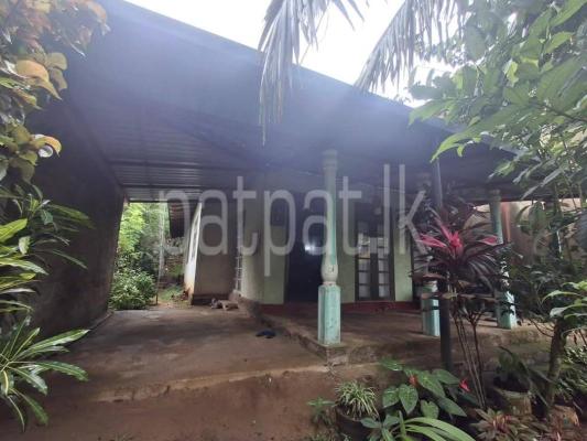 premium-listing-image