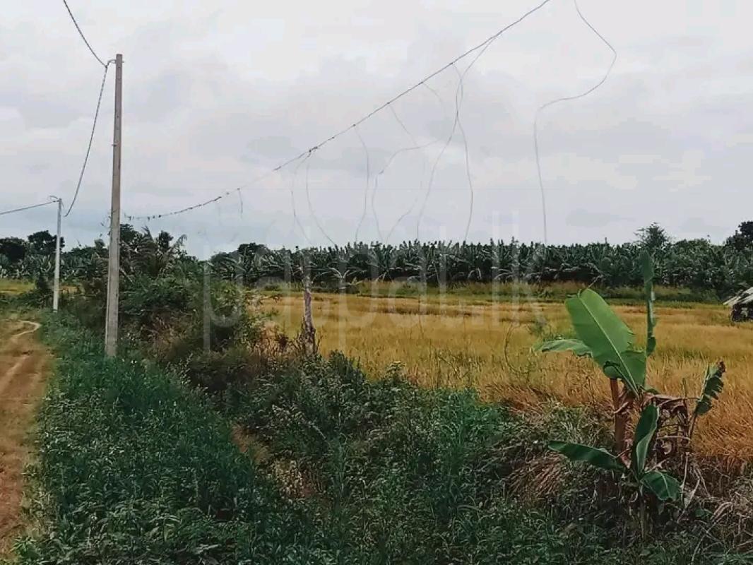 Commercial Land for Sale in Hambantota