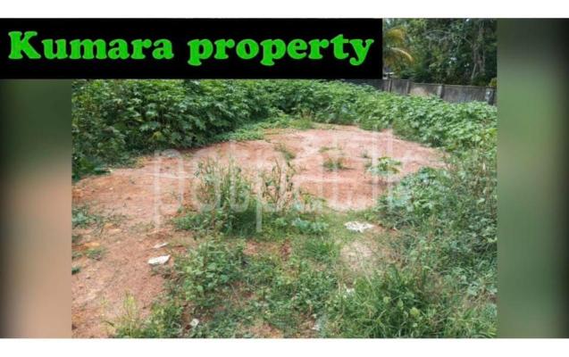 premium-listing-image