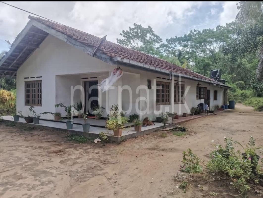 House for Sale in Adampan
