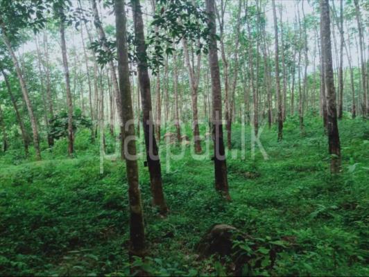 premium-listing-image