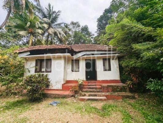 premium-listing-image