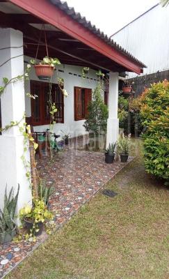 premium-listing-image