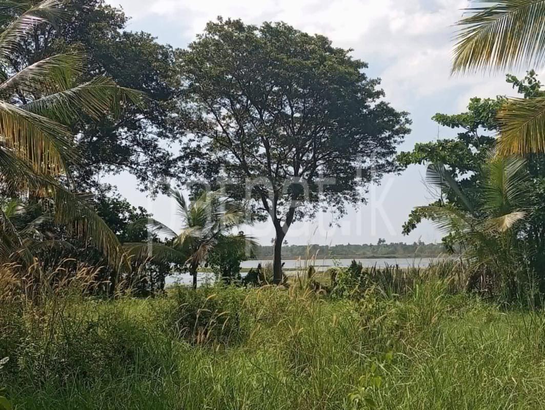 Agricultural Land for Sale in Tangalla