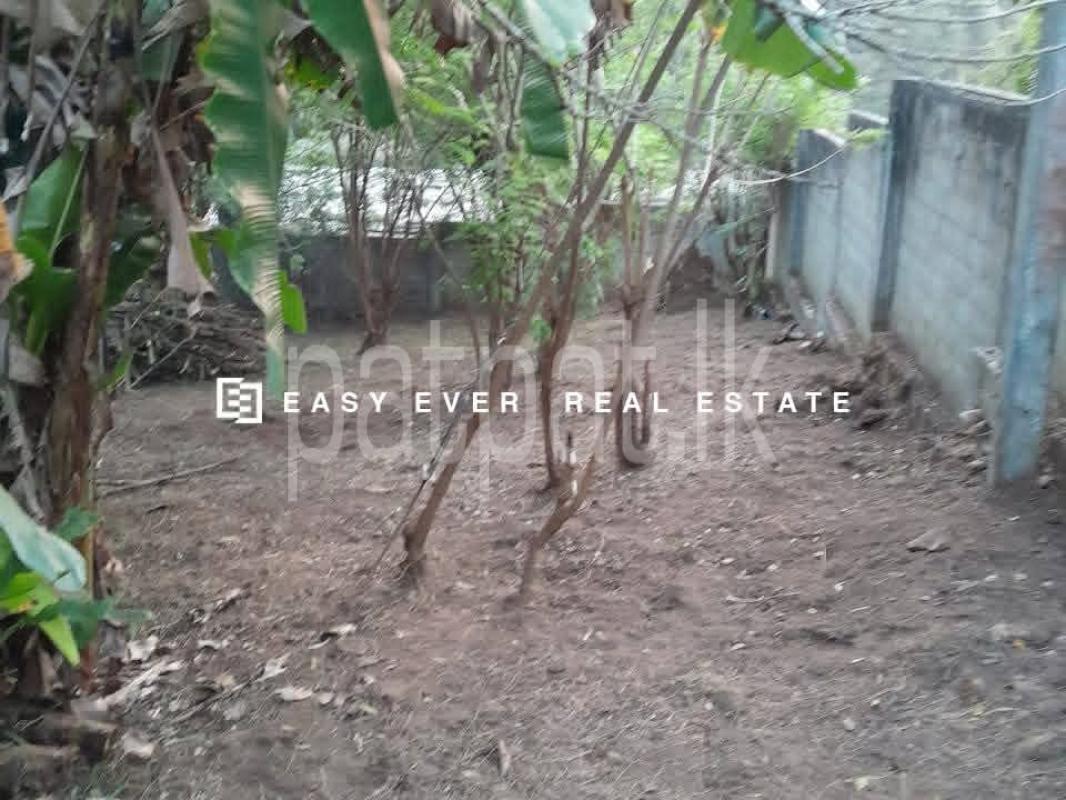 Residential Land for Sale in Pallekelle
