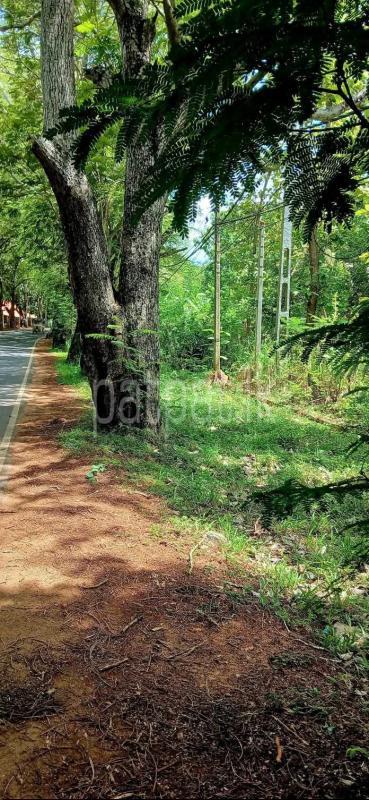 Residential Land for Sale in Sella Kataragama