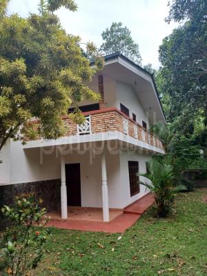 premium-listing-image