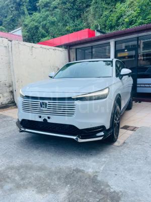 premium-listing-image