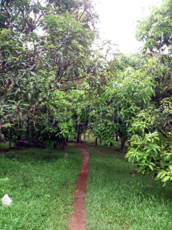 Commercial Land for Sale in Kuliyapitiya