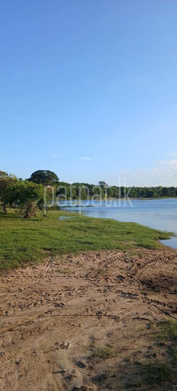 Residential Land for Sale in Tissamaharama