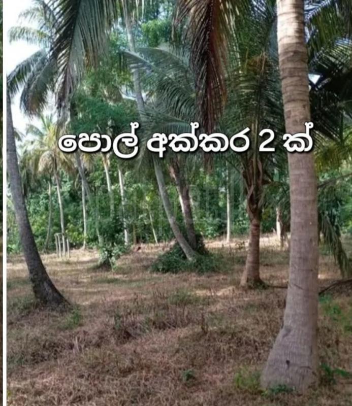 Agricultural Land for Sale in Wariyapola