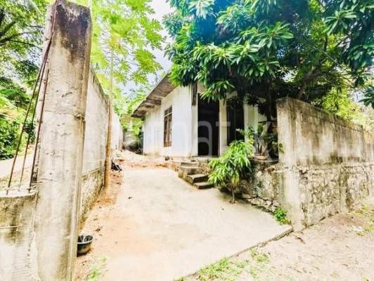 premium-listing-image