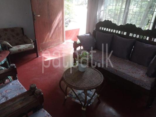 premium-listing-image