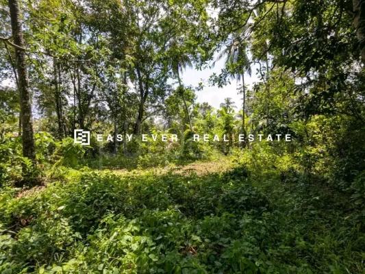 Commercial Land for Sale in Minuwangoda