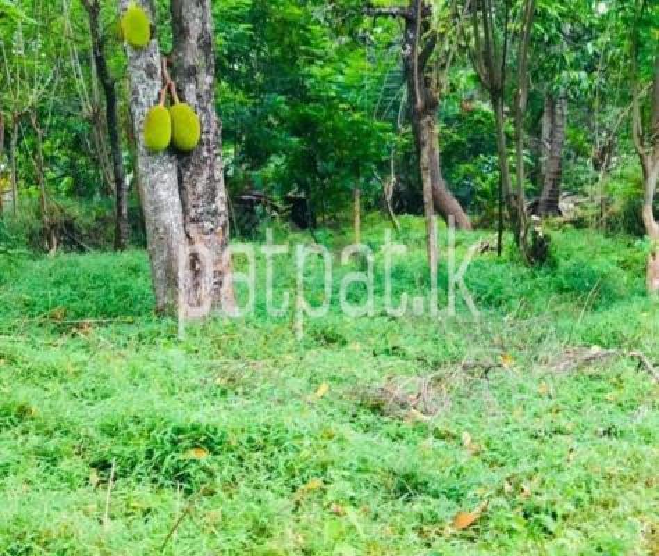 Residential Land for Sale in Kandy