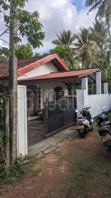 premium-listing-image