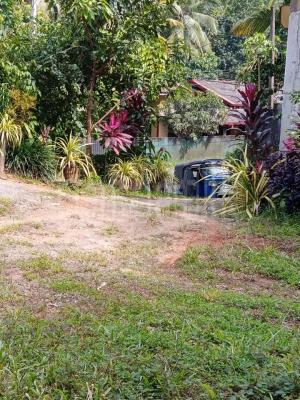 premium-listing-image